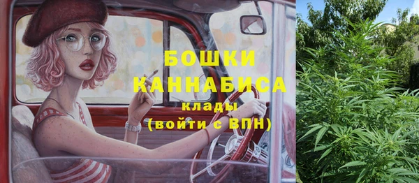 ГАЛЛЮЦИНОГЕННЫЕ ГРИБЫ Алексеевка