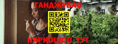 шишки Краснознаменск