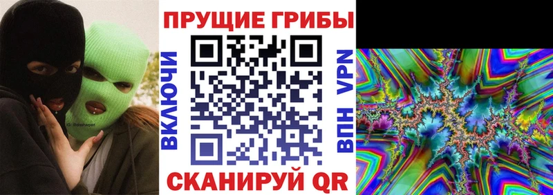 Псилоцибиновые грибы ЛСД Клинцы