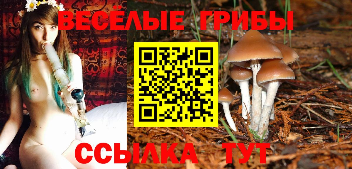 Псилоцибиновые грибы мухоморы Клинцы